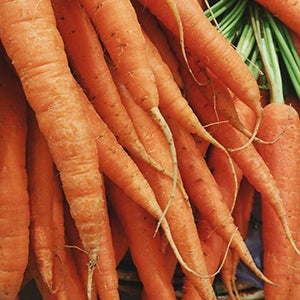 Close up view of a bunch of carrots